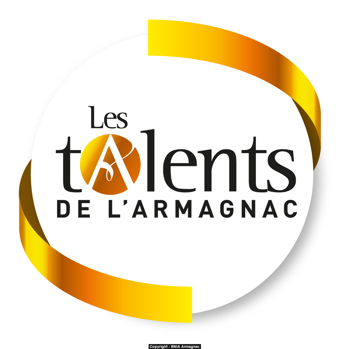 Concours des Talents de l'Armagnac 2014-2015 : médaille d'Or pour le 20/20